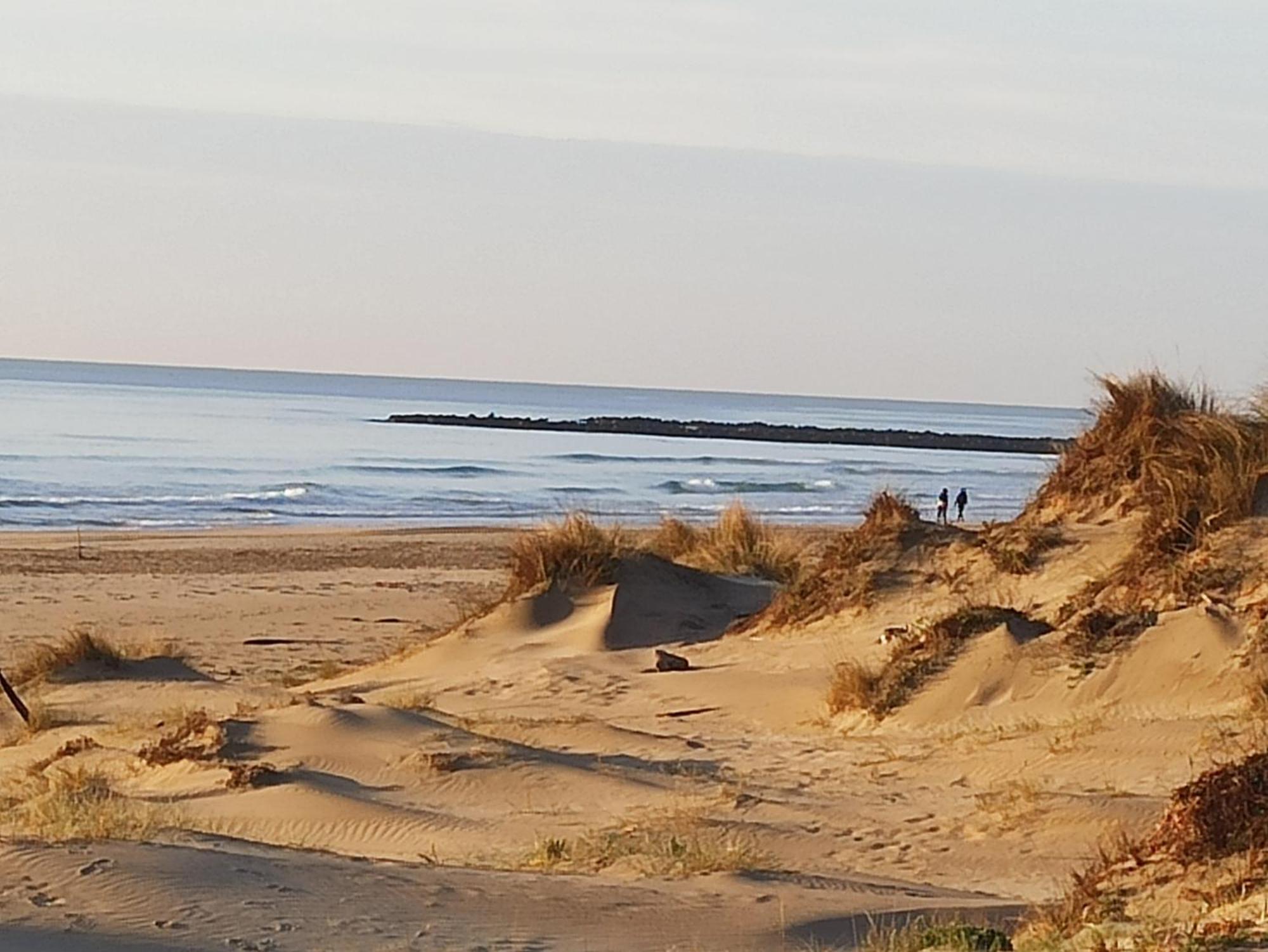T2 Rdc Avec Jardin, Cap D'Agde, Secteur Falaise, 100 M Plage, Clim, Wifi, Parking 외부 사진